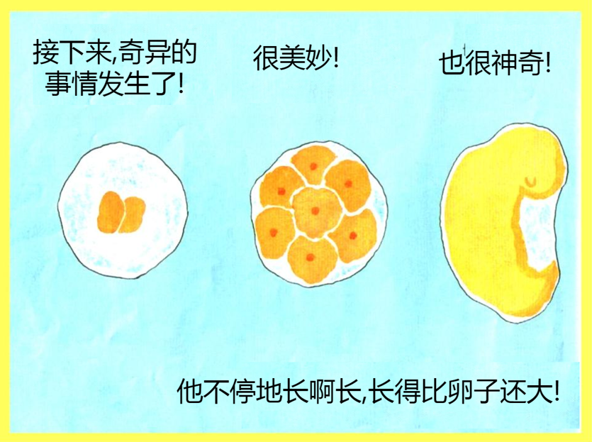 31e6a******984b55aeb0610a28e1f26a.png