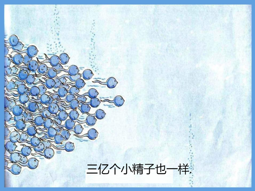 39858cb56b3e4df7bd8079ff1d01ccaa.png