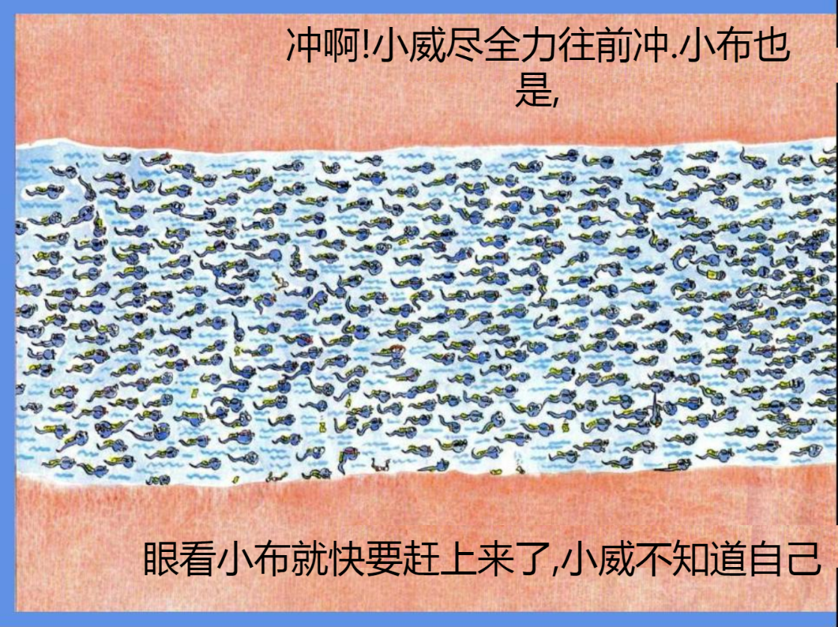 ec578f9b699c4b118fcdf49902abc617.png