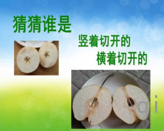 4bfa7f7bfce8420cb9be554c2ad50be7.png
