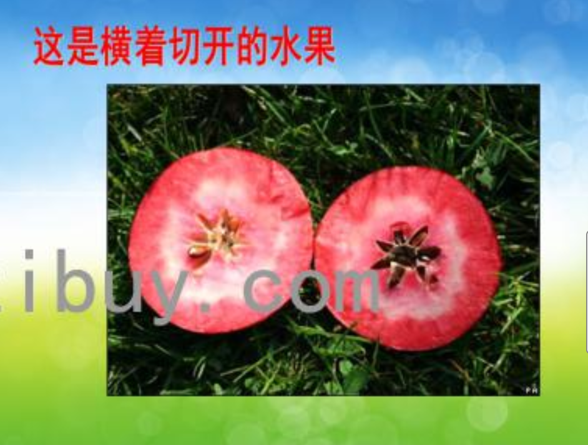 77d29c685faf4184910e367364be292c.png