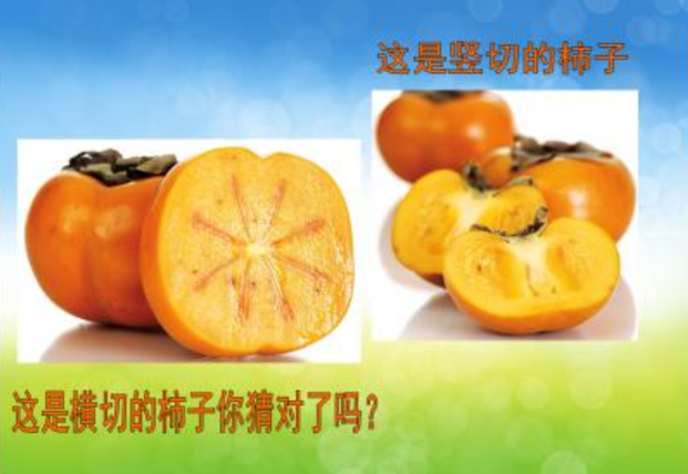 803bf74bdc6f4bc5b6f03c583bf2f44f.png
