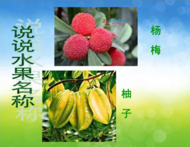 96722bdd6efd4fb29b5e60aafc6fed4f.png