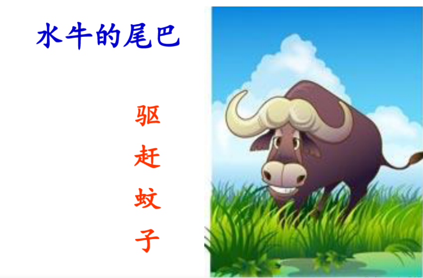 65e85a1ae2434a19998d47062badc14c.png