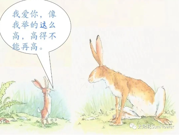 7be2199b1c744964a5ca19890b4c971e.png