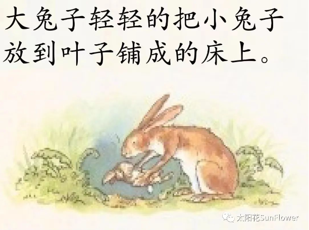 b5cd852fd949424c9700b1772e57aed9.png