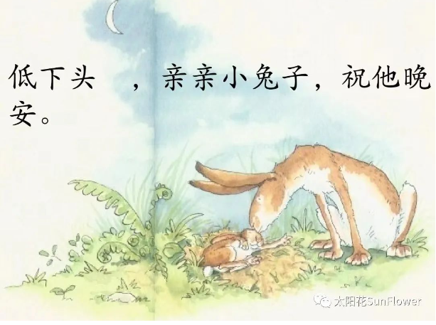 f09de957ae534728a2ea82c24a51dde6.png