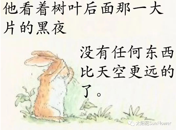 fef29e8121f547d5b46328b76de7d3b7.png