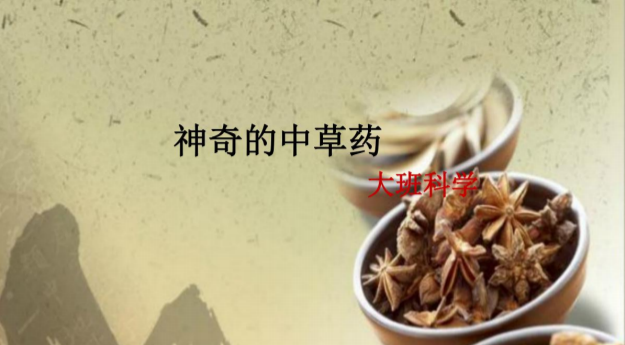 6ec772bdd1e84d049c6c011dce05d7ed.png