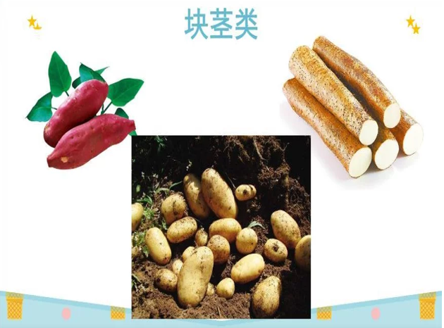 1f9deb6f210f43df93a936587aeafbf6.png