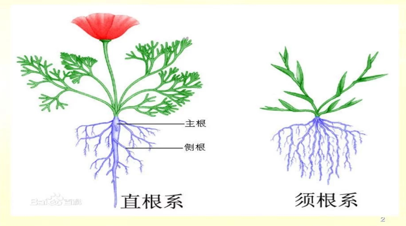 1c39f6fb68214920b191444c77508cfd.png