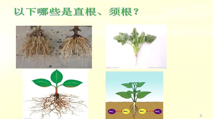 21c156806f2d48c998b1f9360dbc237a.png