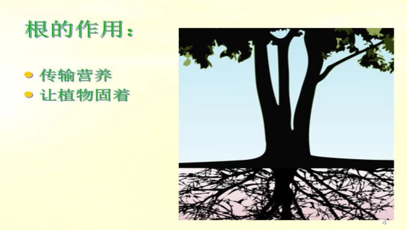 a46c77a5eb714b8faf907e6d97b9e3ff.png