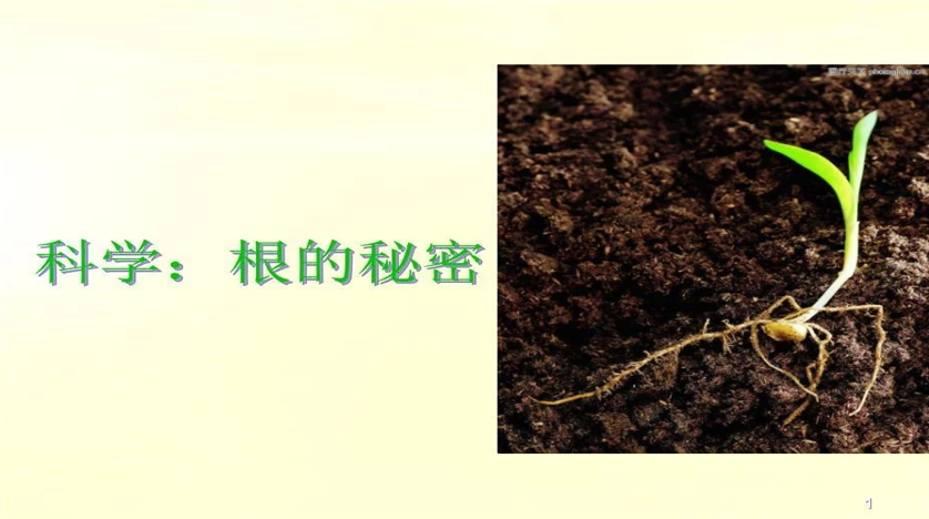 aef0022e772e4b5da5fdb32f8f0f4e23.png