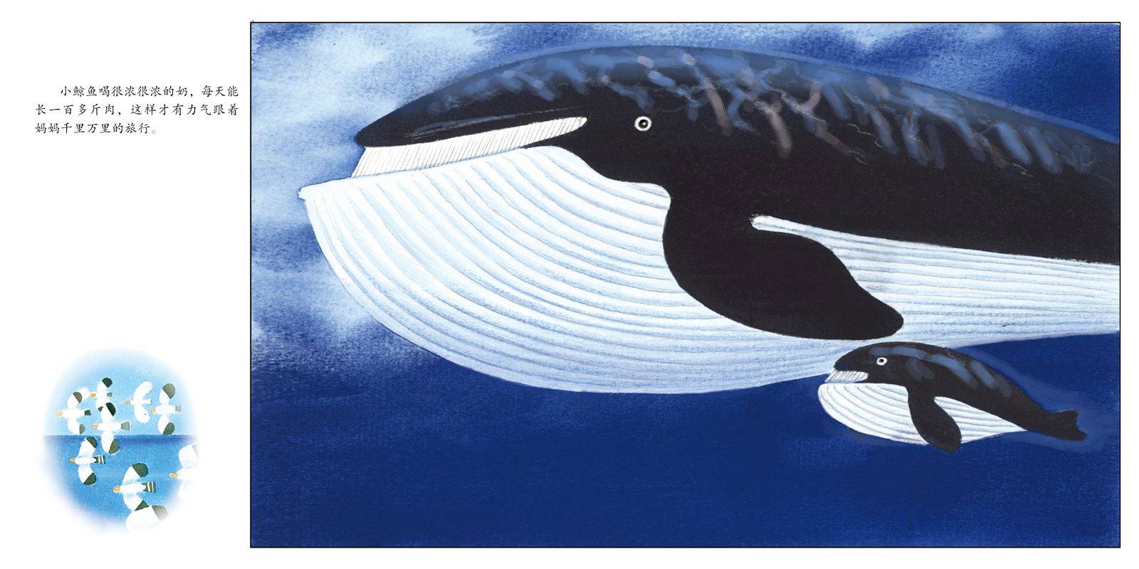 长得胖胖才好绘本故事第6页