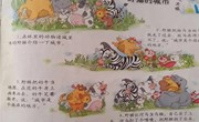 语言:野猫的城市