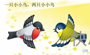语言：两只小小鸟