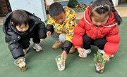 自然角：种下一朵花