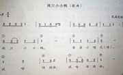 音乐：两只小小鸭