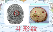 科学：有趣的指纹