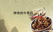 大班科学：神奇的中草药