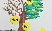 科学：认识大树