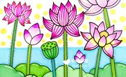 画：荷花