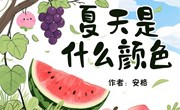 绘本：《夏天是什么颜色》