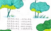 儿歌：荷花荷花几月开