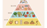 健康：食物金字塔