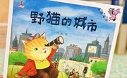好书推荐：野猫的城市