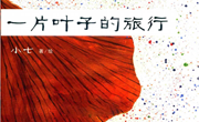 绘本推荐《一片叶子的旅行》