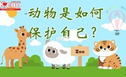 科学：动物的自我保护