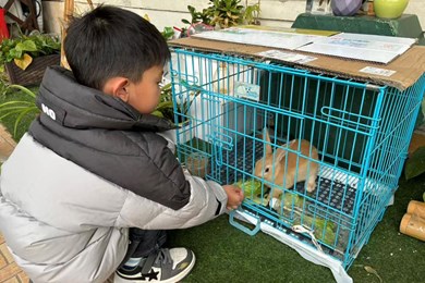 我是本周小小值日生