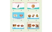 科学：硬硬的壳香香的肉