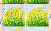 美术推荐：《盛开的油菜花》