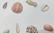 健康：《硬硬的壳，香香的肉》