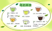 科学：茶叶