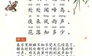 诗歌：《春晓》