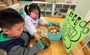 数豆豆