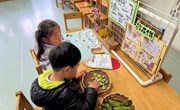 剥豆子