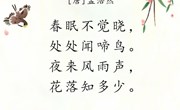 古诗：春晓