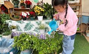 我会照顾它