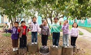 林间散步