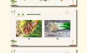 科学：根的秘密