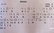 音乐：柳树姑娘