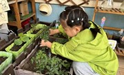 我给小苗松松土
