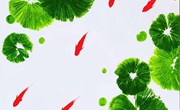 美工区：夏荷