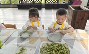 我会剥豆