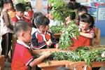 浓情端午 ，童趣安康——金港中心幼儿园端午节主题活动